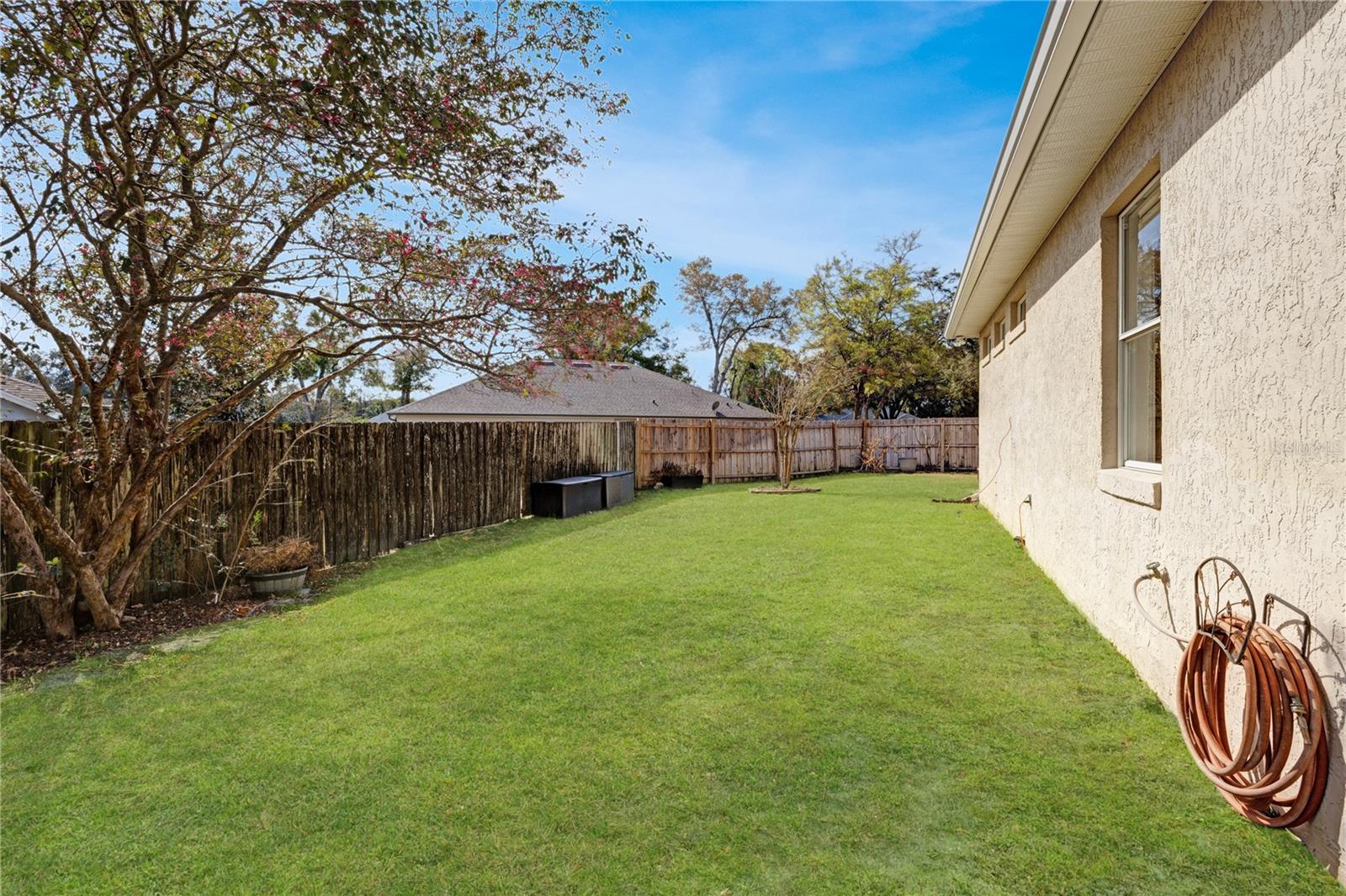 Image 57 of 60 For 1504 Ginger Snap