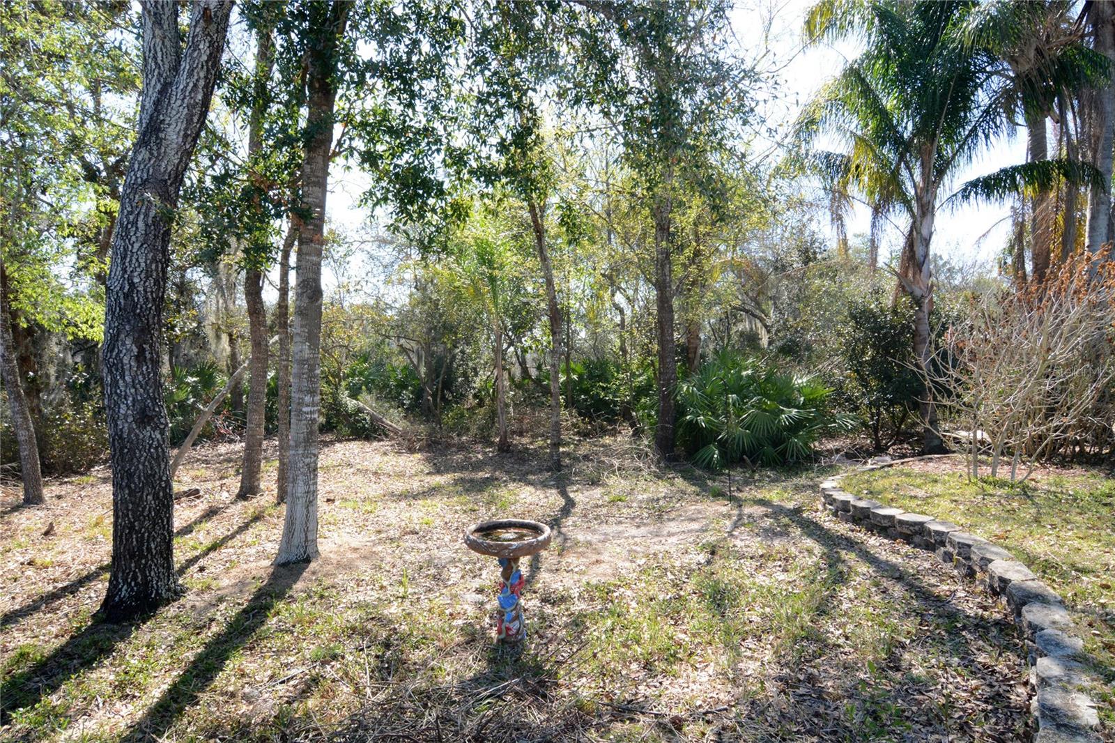 Image 10 of 37 For 19 Spring Ridge Drive