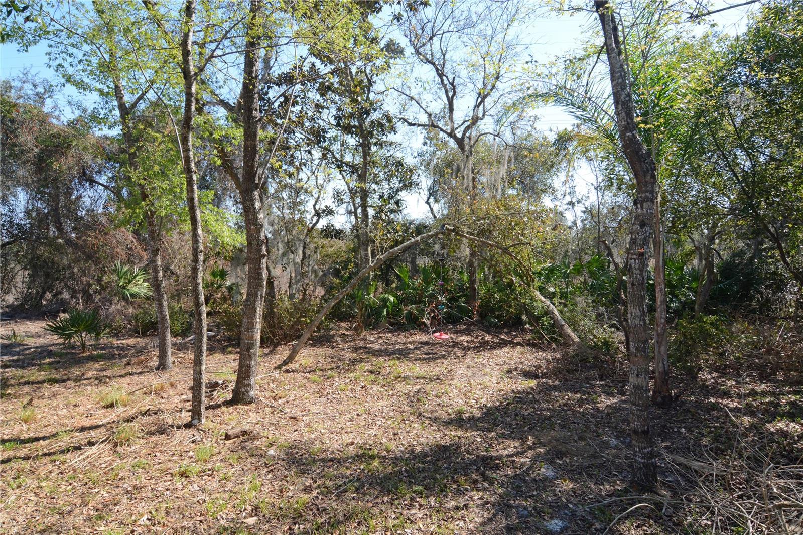 Image 11 of 37 For 19 Spring Ridge Drive