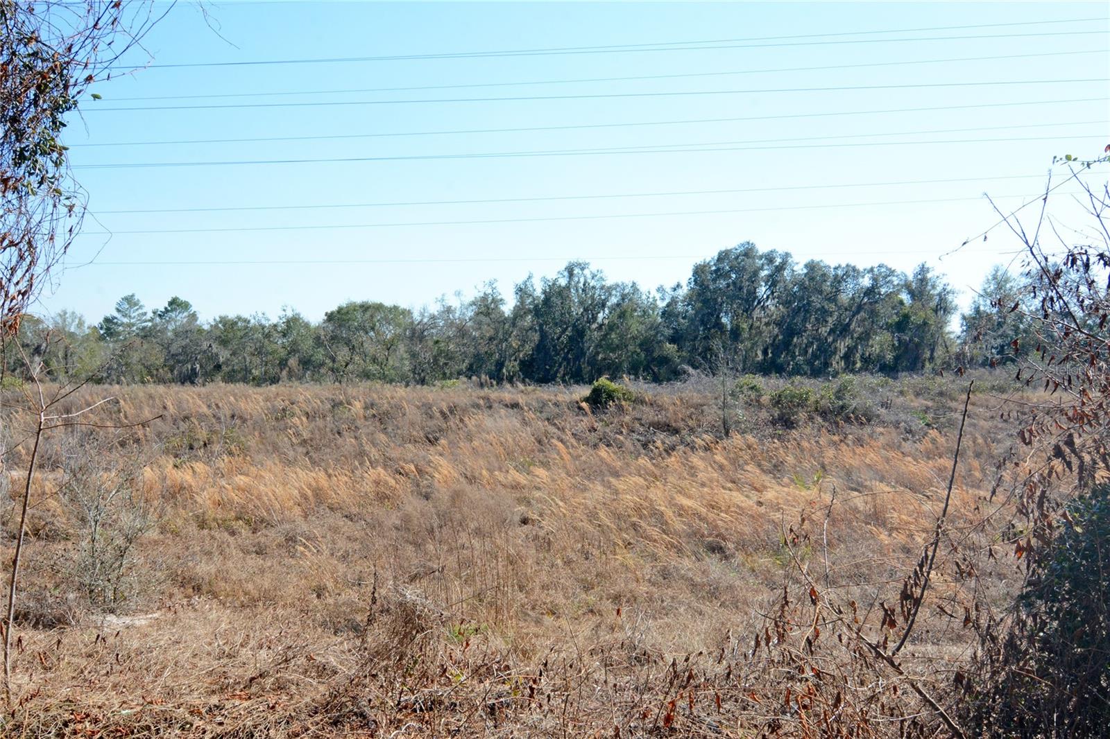 Image 12 of 37 For 19 Spring Ridge Drive