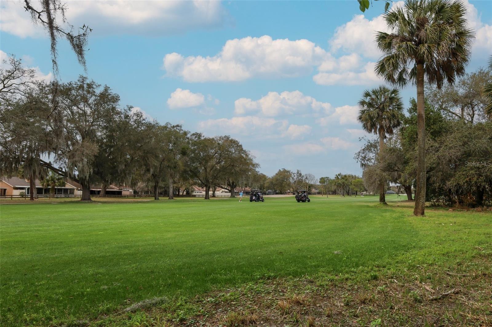 Image 43 of 48 For 1352 Augusta National Boulevard