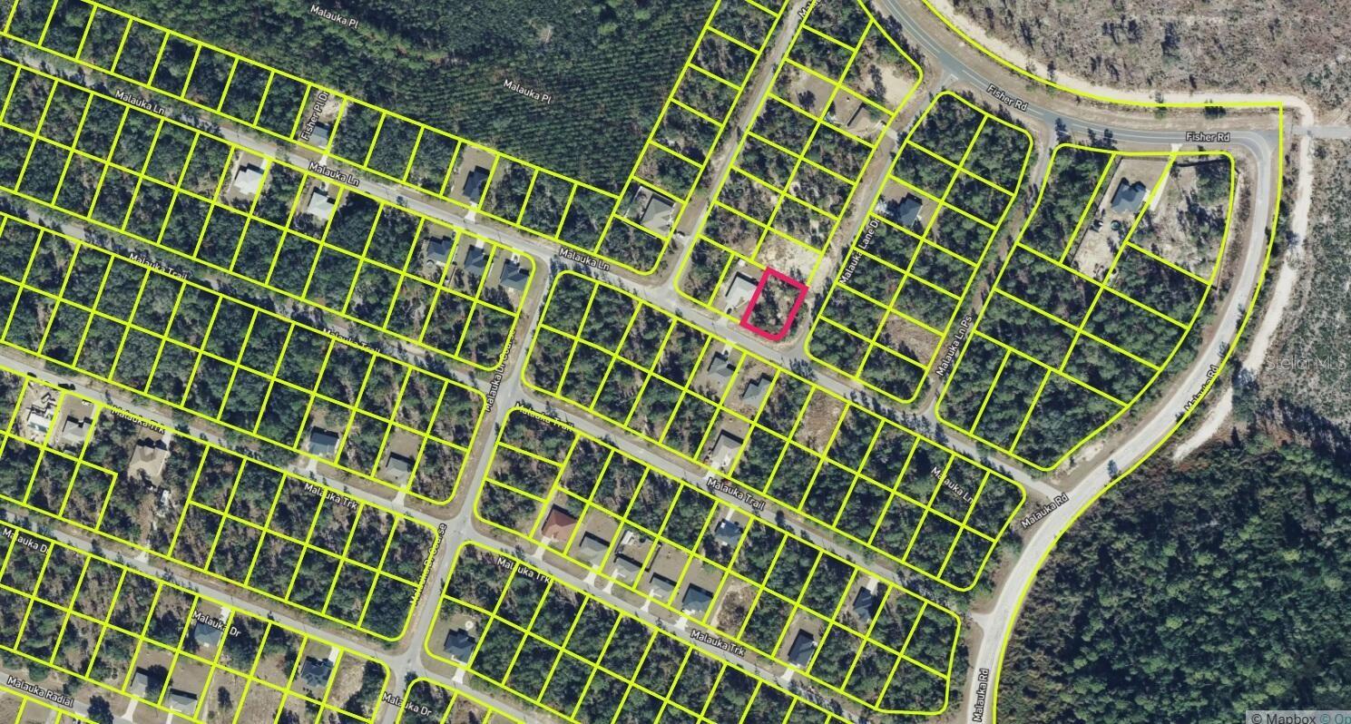 Details for 0 Malauka Lane, OCKLAWAHA, FL 32179