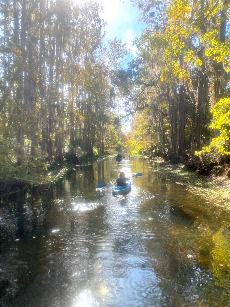 Image 24 of 45 For 3016 Crystal Creek Boulevard