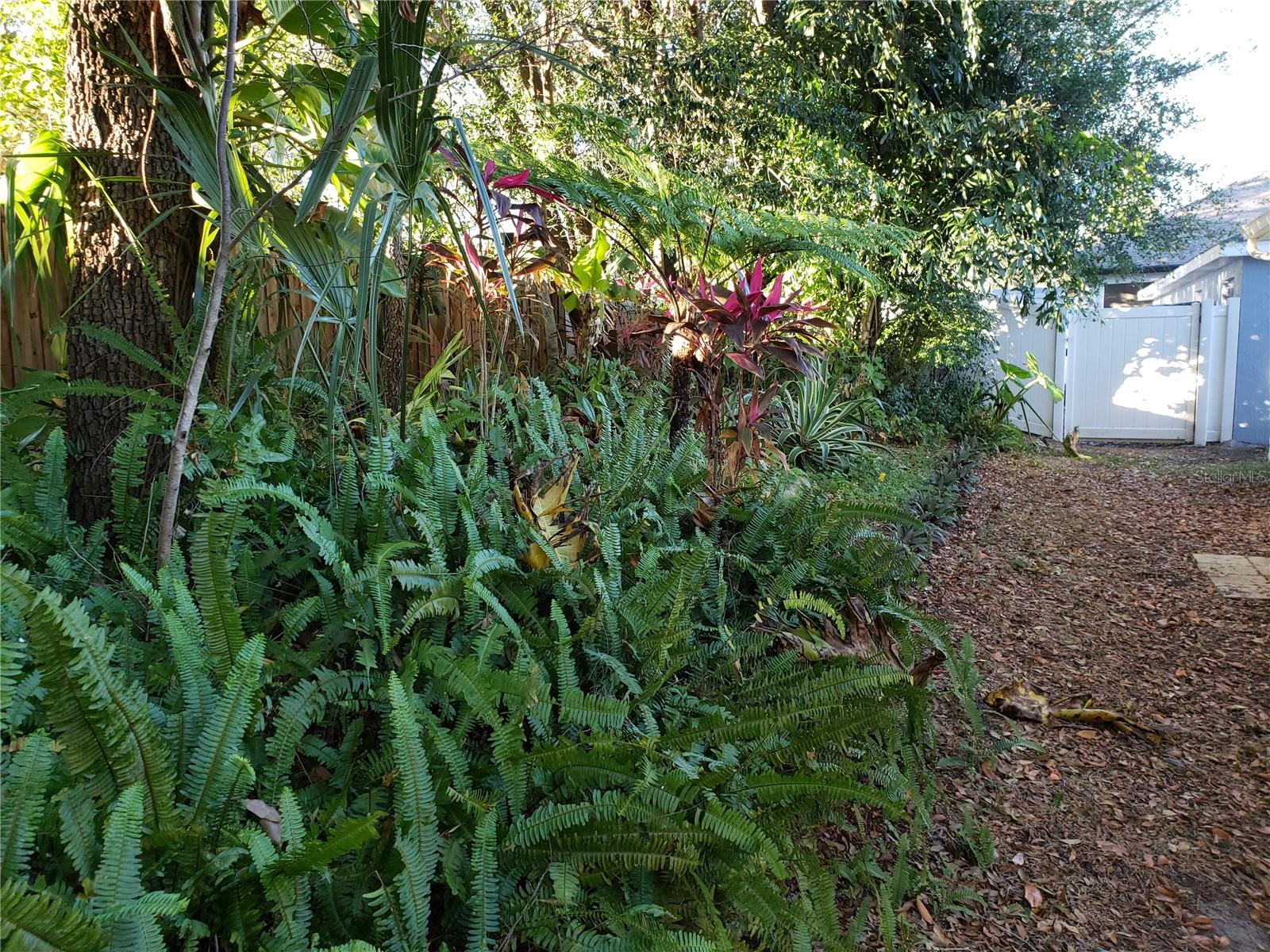 Image 15 of 15 For 394 Hanging Moss Circle