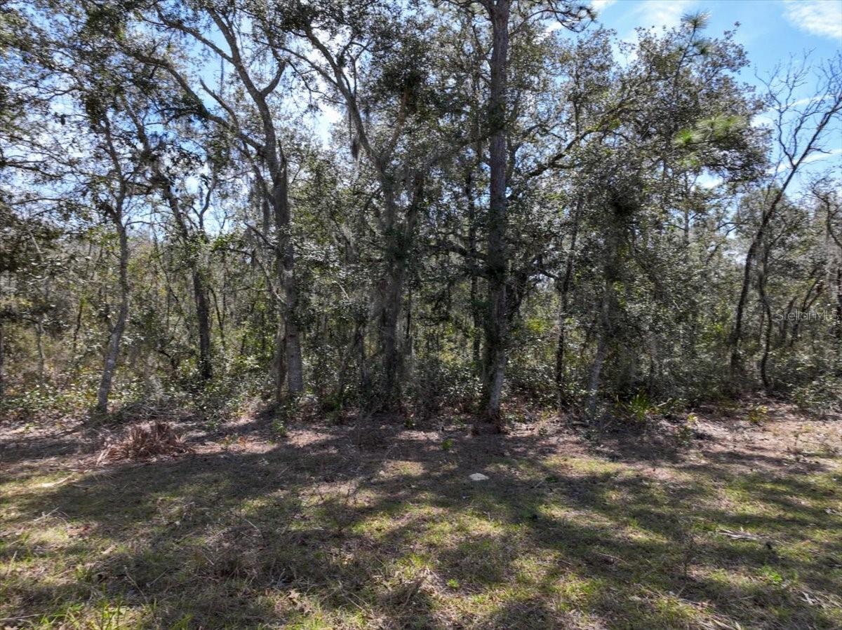 Listing photo id 7 for  65th Street 