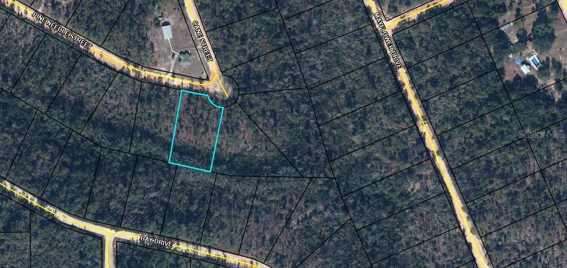 Listing Details for Tbd Pine Needle Street, MARIANNA, FL 32448