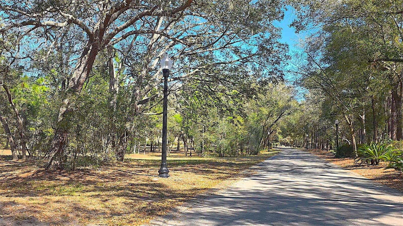 Image 3 of 10 For Lincoln Road