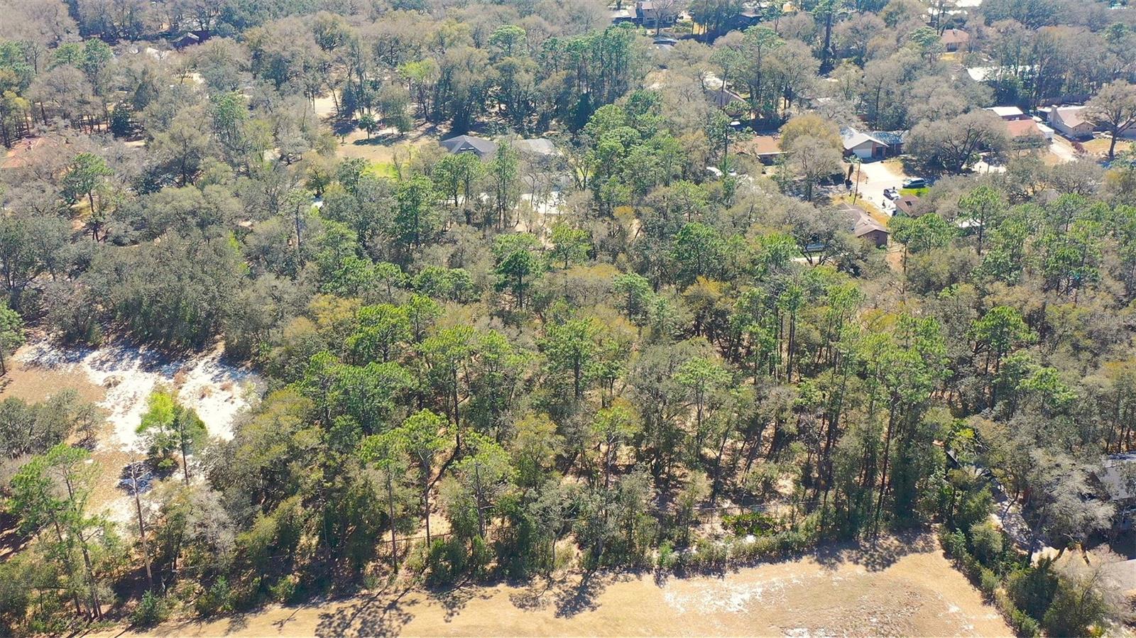 Image 4 of 10 For Lincoln Road