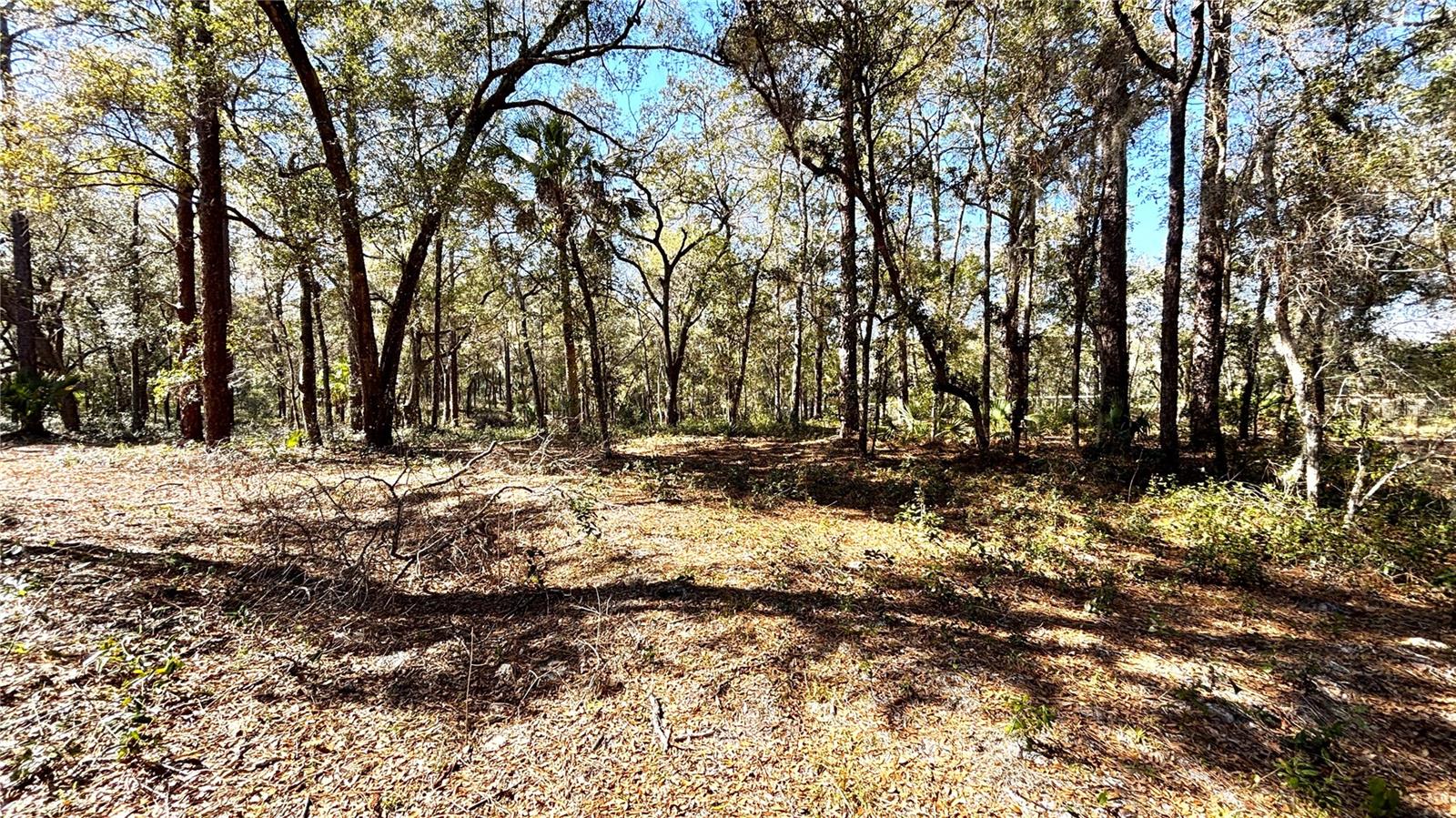 Image 5 of 10 For Lincoln Road