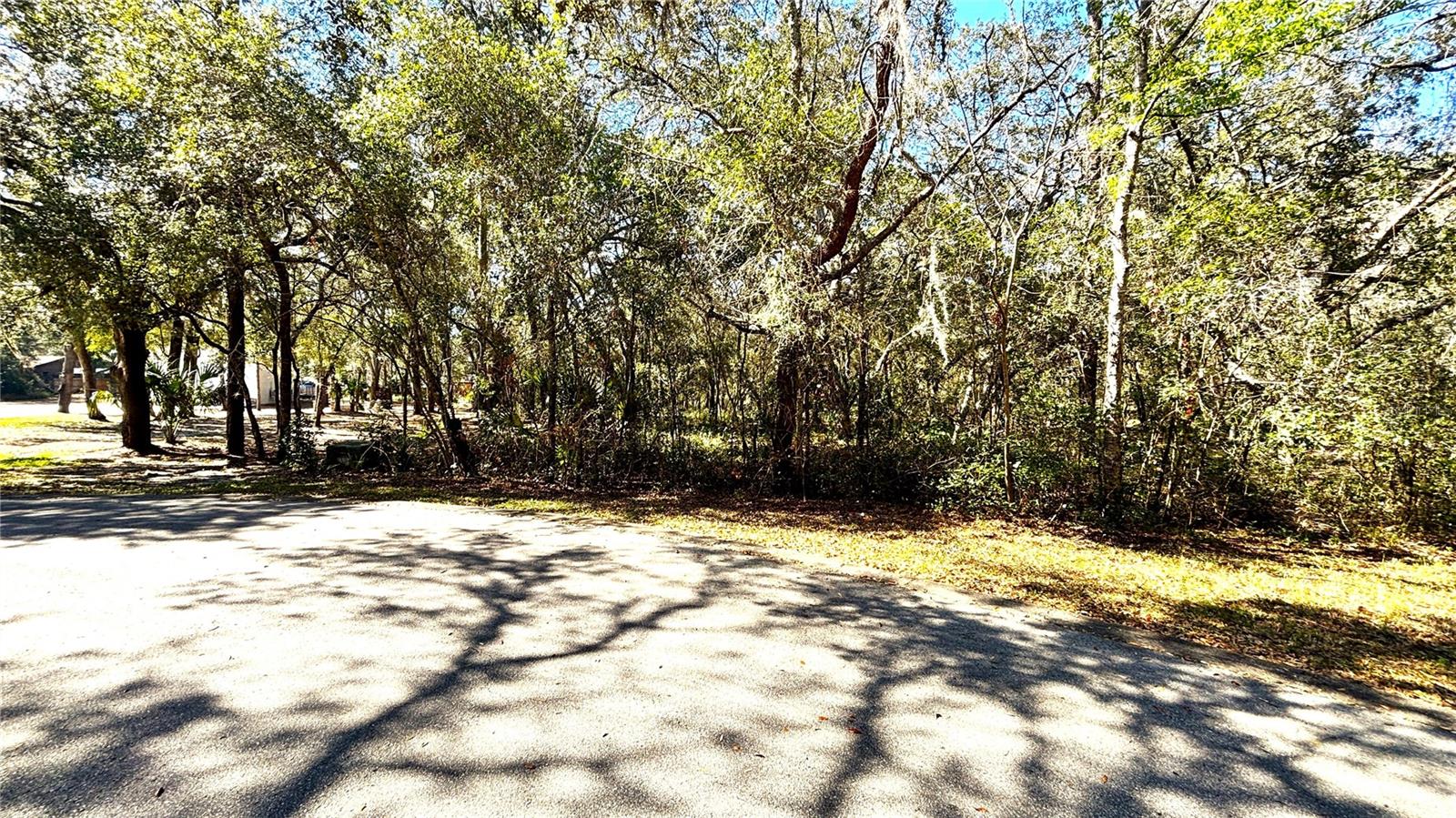 Image 6 of 10 For Lincoln Road