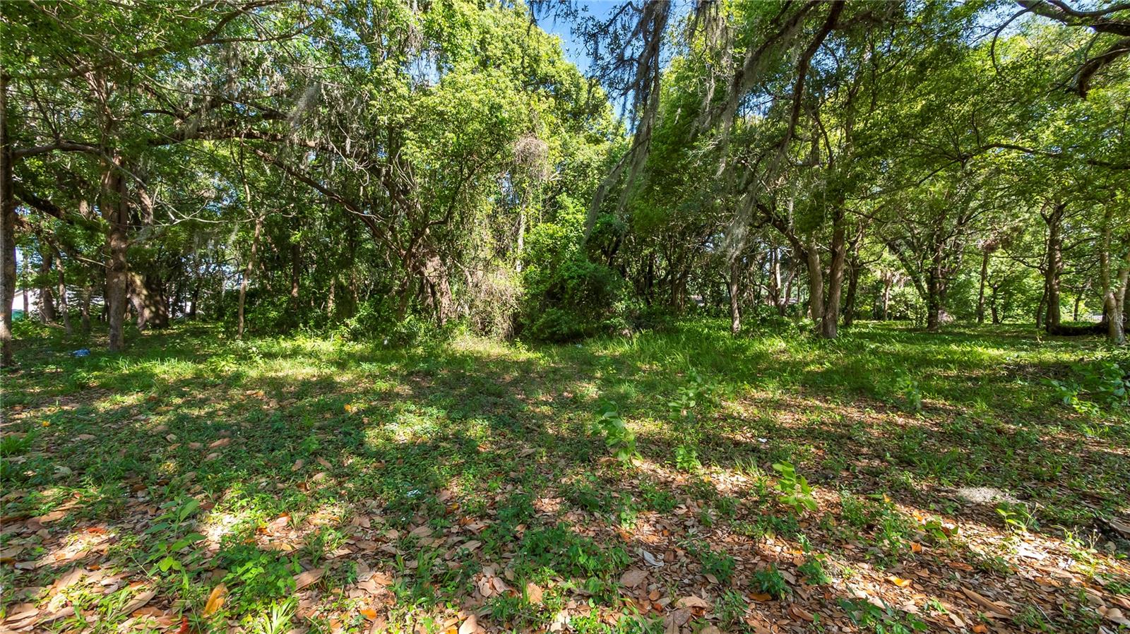 Image 19 of 58 For 1500 Hoagland Boulevard