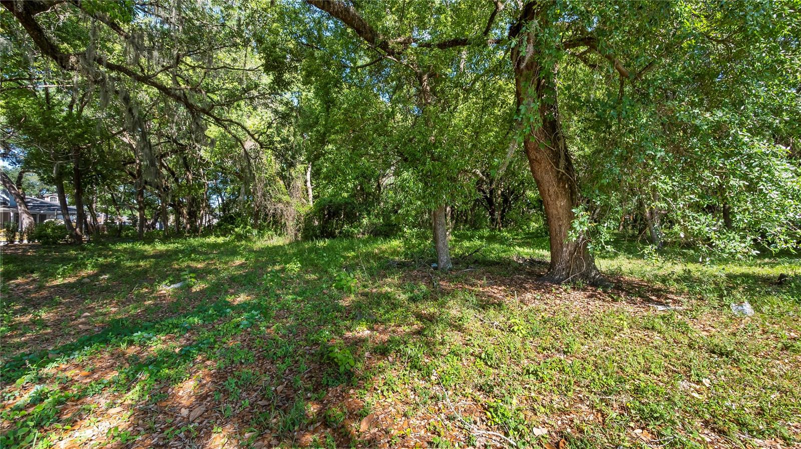 Image 21 of 58 For 1500 Hoagland Boulevard