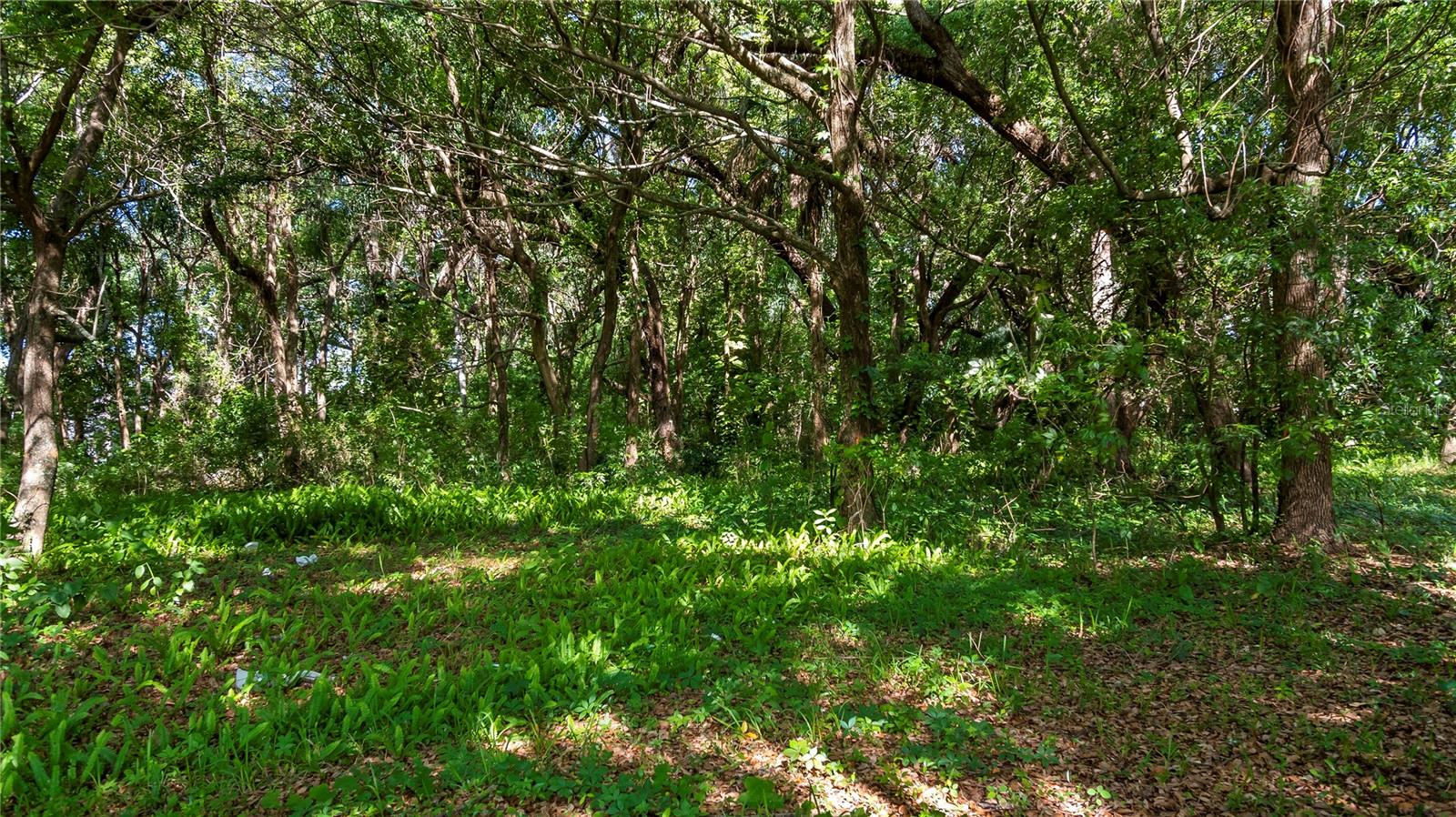 Image 23 of 58 For 1500 Hoagland Boulevard