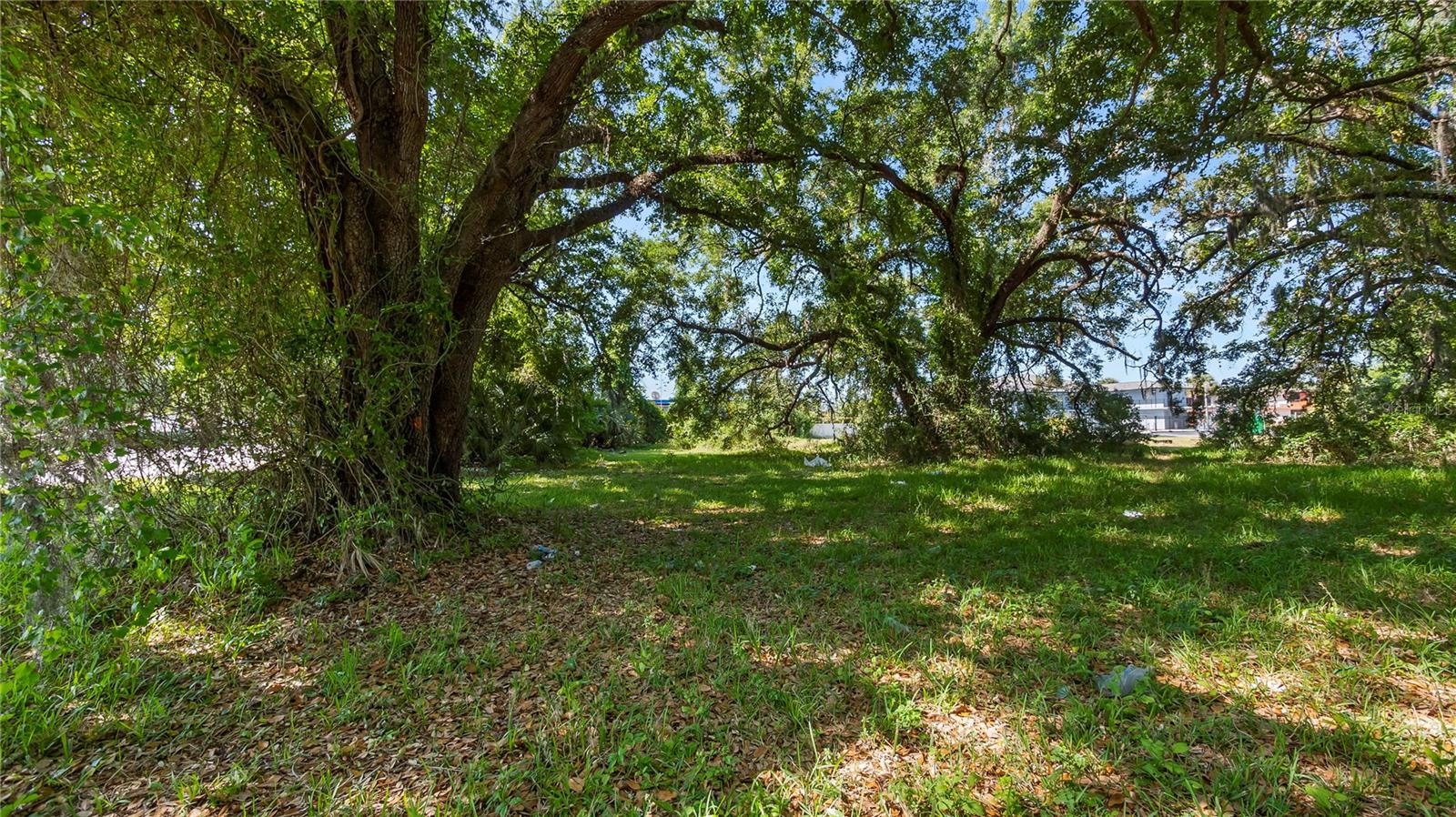 Image 43 of 58 For 1500 Hoagland Boulevard