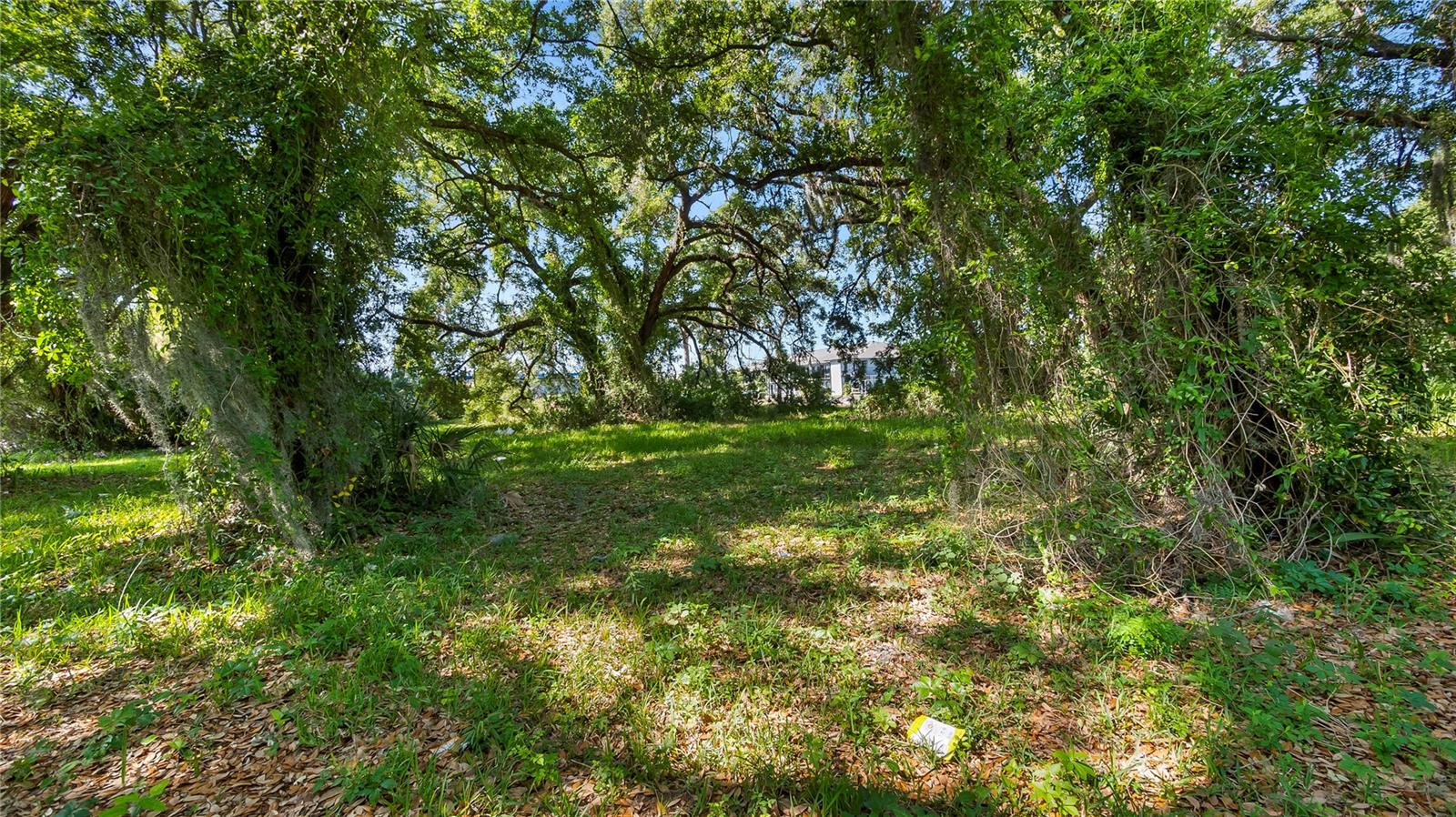 Image 45 of 58 For 1500 Hoagland Boulevard