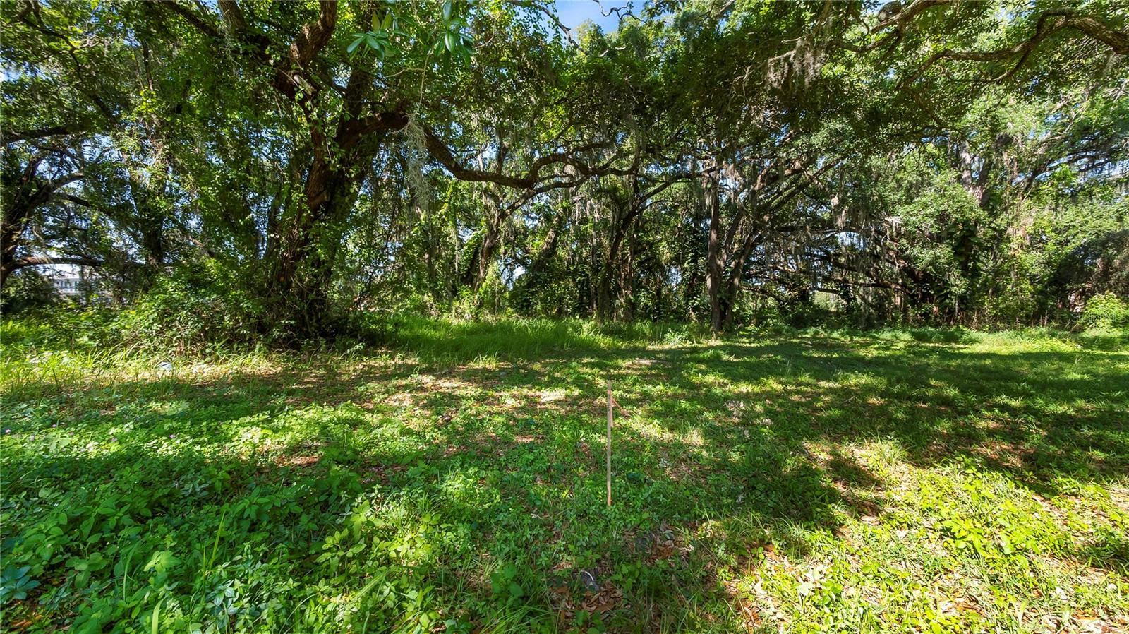 Image 47 of 58 For 1500 Hoagland Boulevard