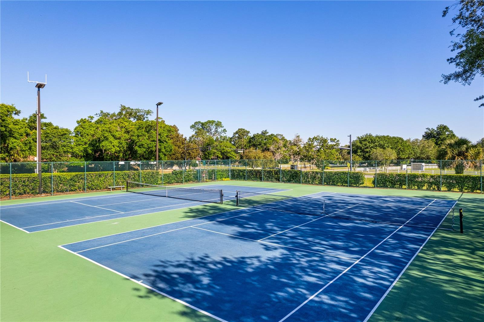 Image 53 of 53 For 302 Needles Trail