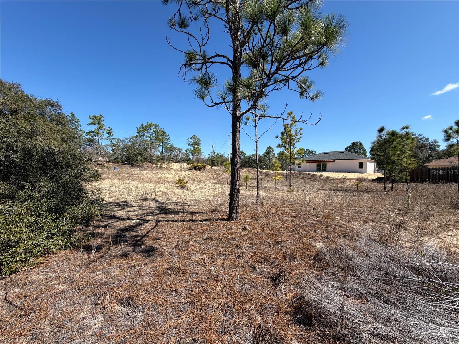 Image 2 of 4 For 6725 Killinger Terrace