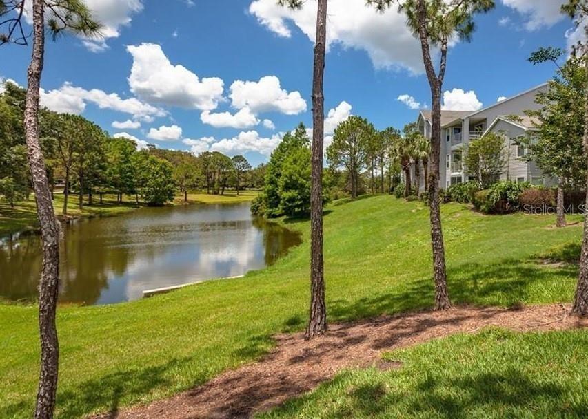 Image 24 of 28 For 727 Sugar Bay Way 113