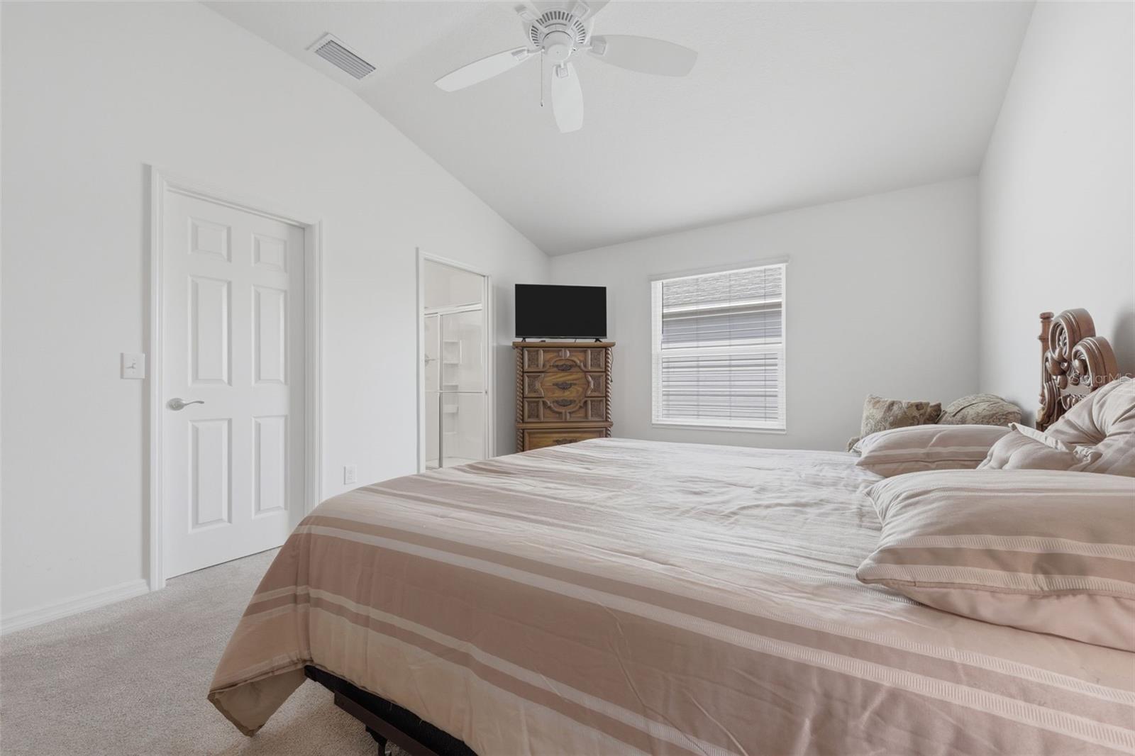 Image 19 of 25 For 2747 Dyson Loop