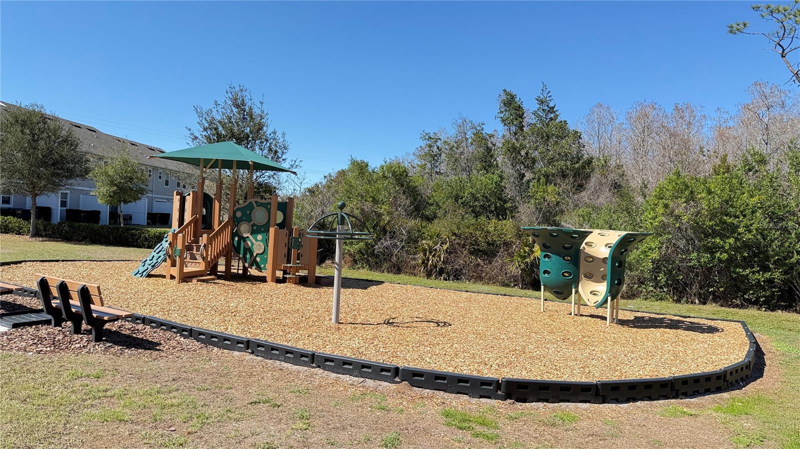 Image 34 of 47 For 2276 Sedge Grass Way