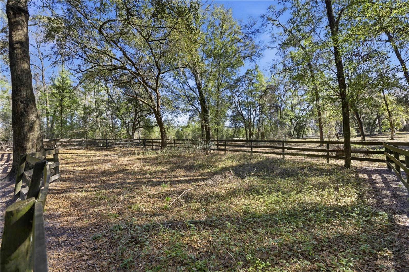 Image 32 of 49 For 19 Northern Dancer Drive