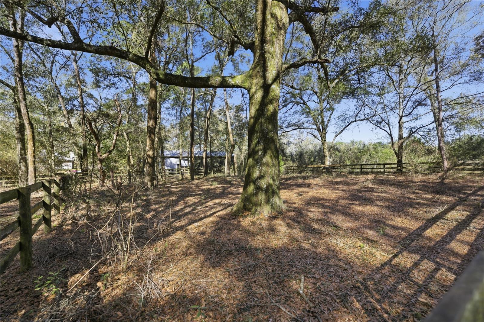 Image 33 of 49 For 19 Northern Dancer Drive