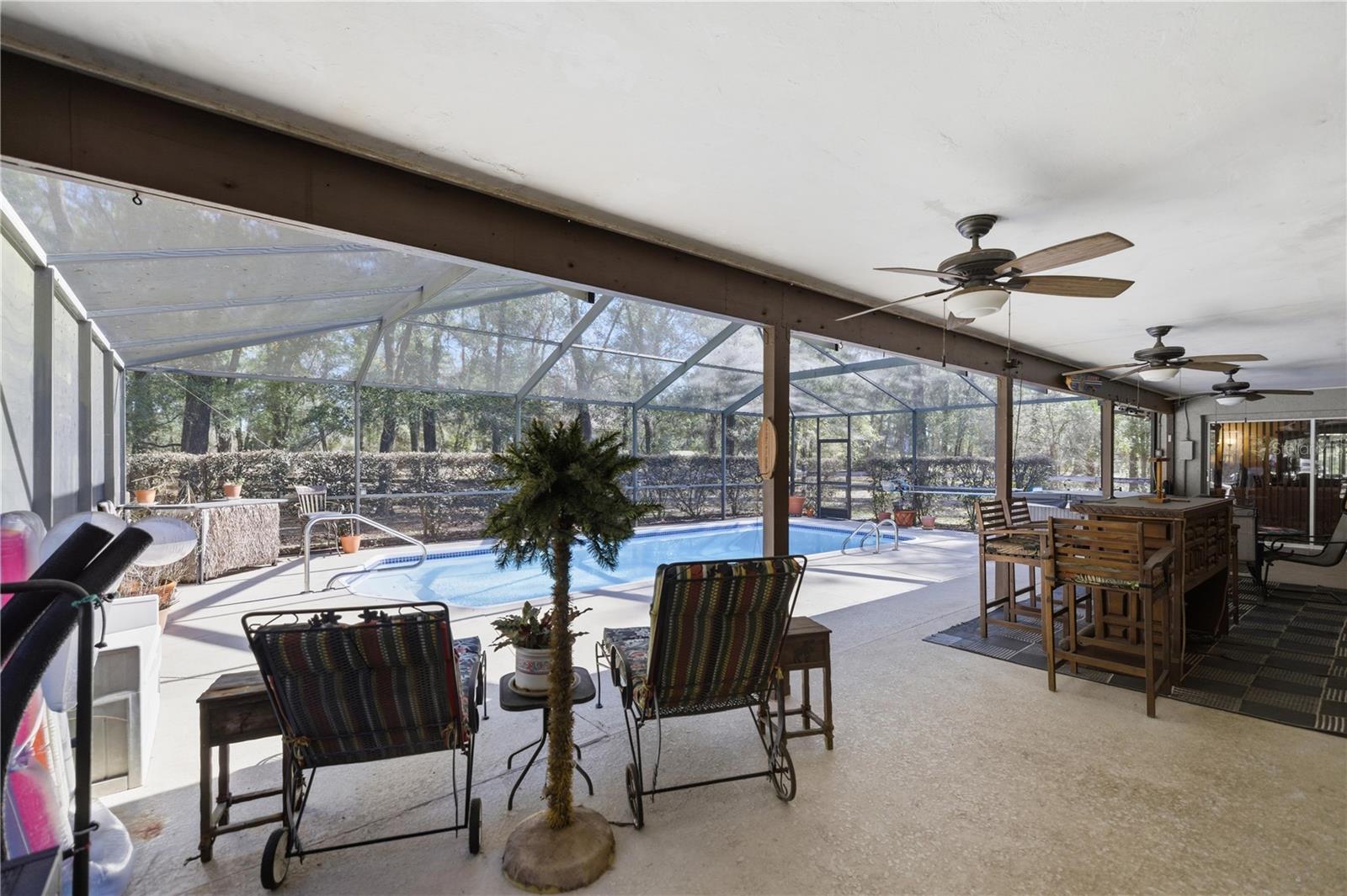 Image 36 of 49 For 19 Northern Dancer Drive