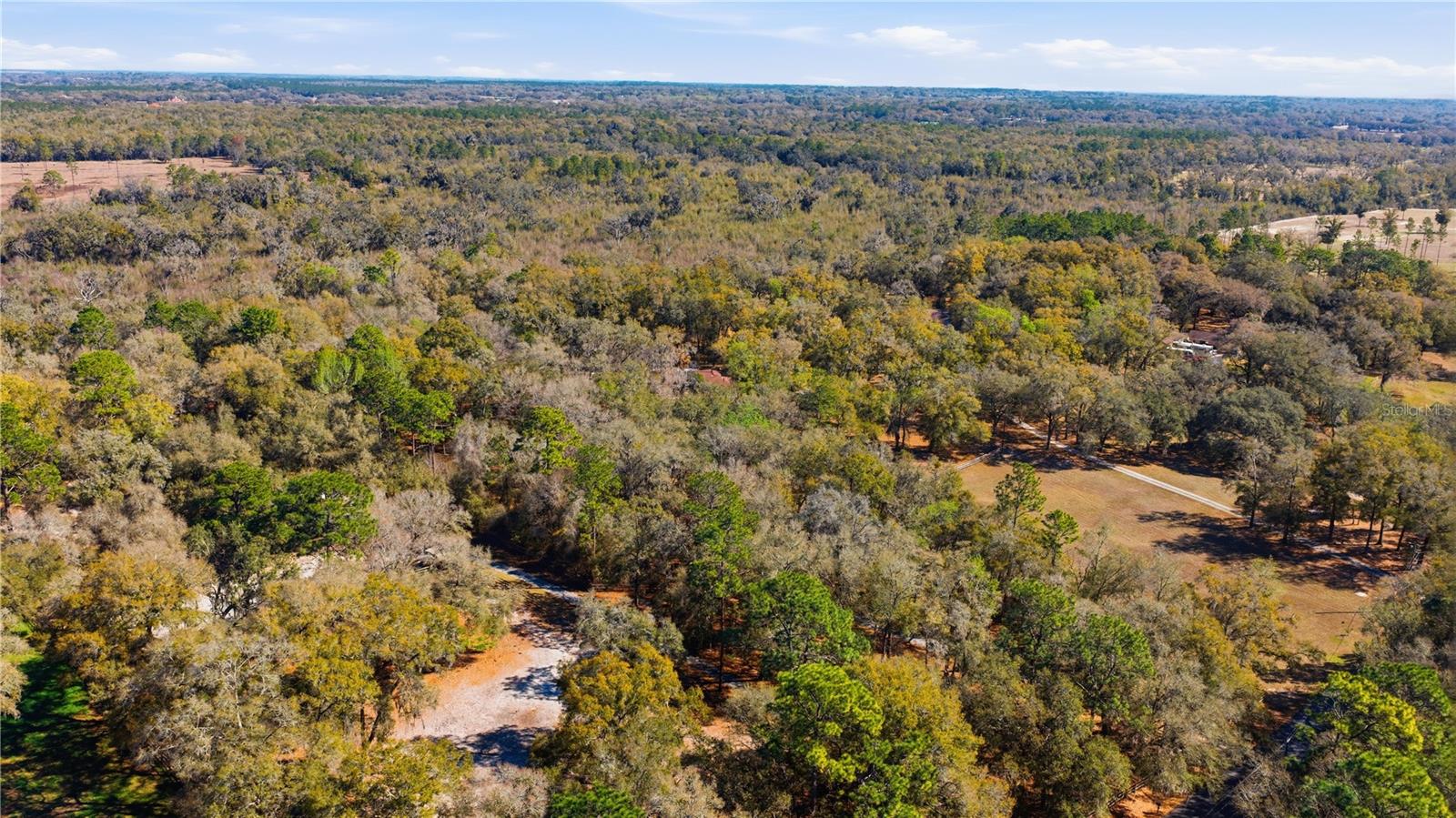 Image 42 of 49 For 19 Northern Dancer Drive