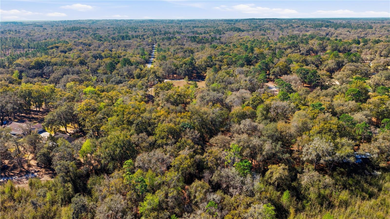 Image 43 of 49 For 19 Northern Dancer Drive