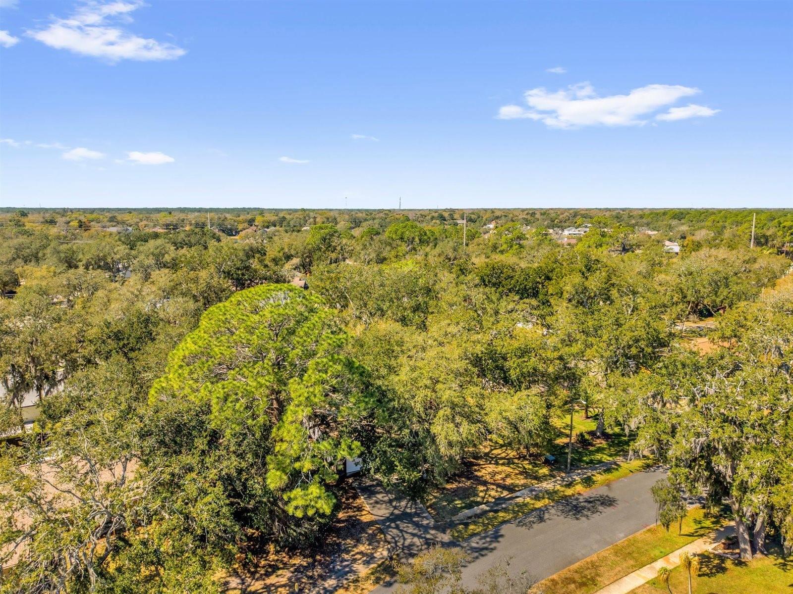 Image 26 of 30 For 6113 Del Rio Drive