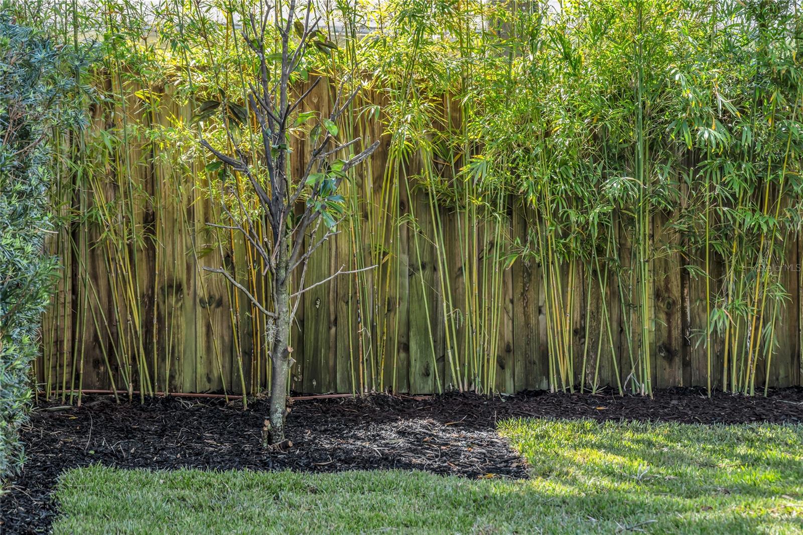 Image 64 of 68 For 2016 Gerda Terrace