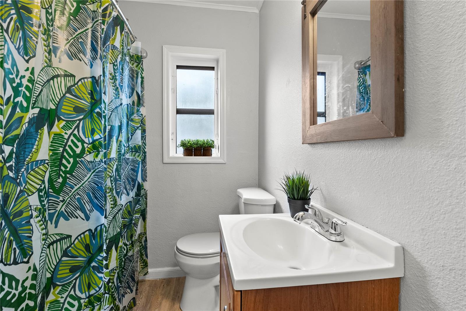 Image 20 of 29 For 303 Louis Street