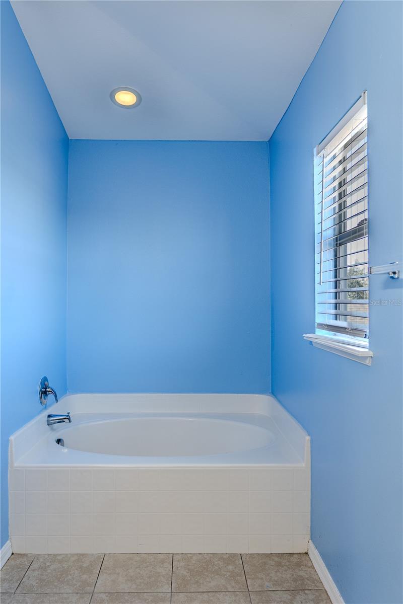 Image 33 of 42 For 274 Curtis Avenue