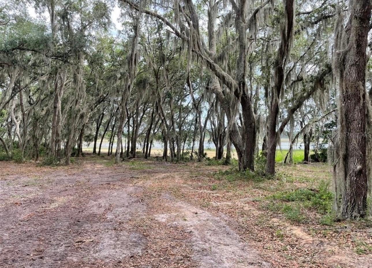 Image 14 of 15 For 3166 Bright Lake Circle