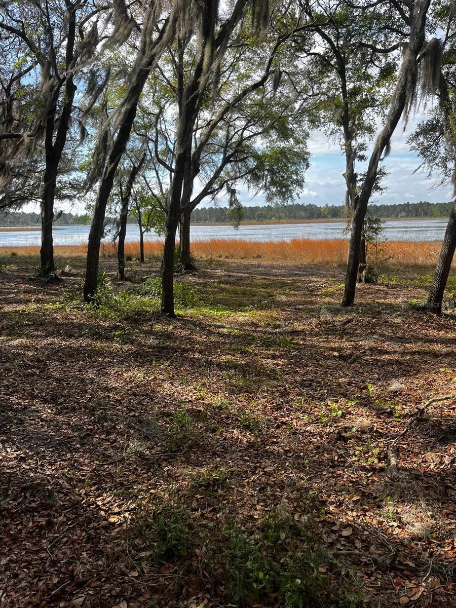 Image 6 of 15 For 3166 Bright Lake Circle