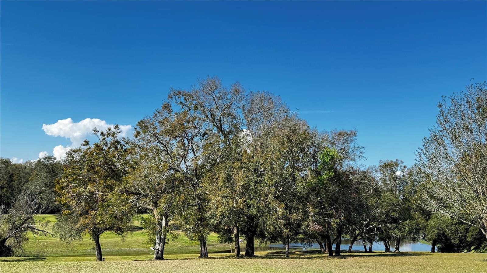 Image 34 of 34 For 3401 Wax Myrtle Circle 1745