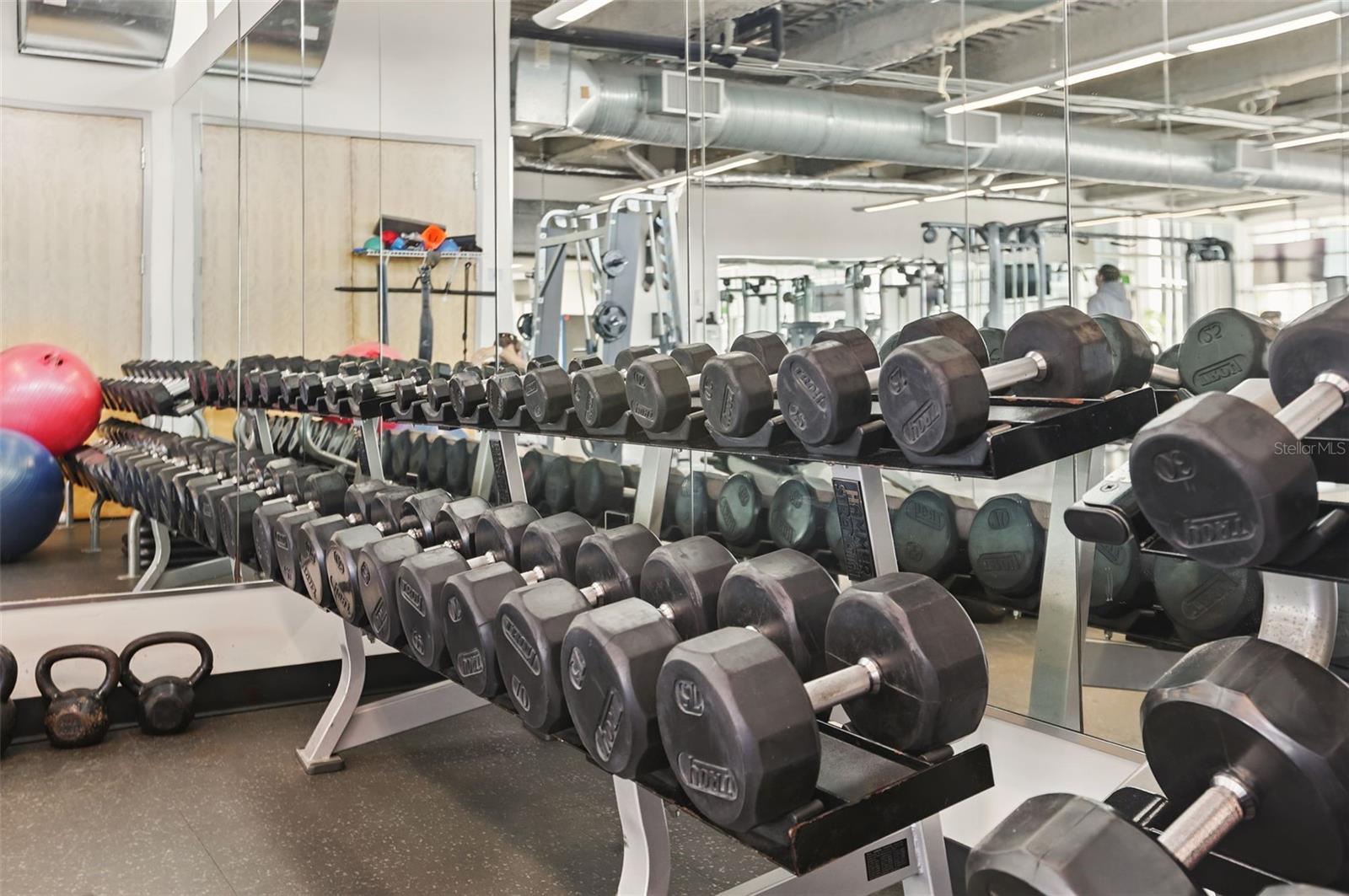 Image 35 of 38 For 150 Robinson Street 2906