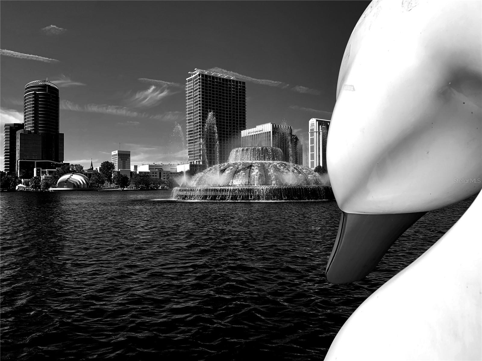 Image 37 of 38 For 150 Robinson Street 2906