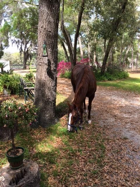 Image 51 of 52 For 23404 Hobdy Road