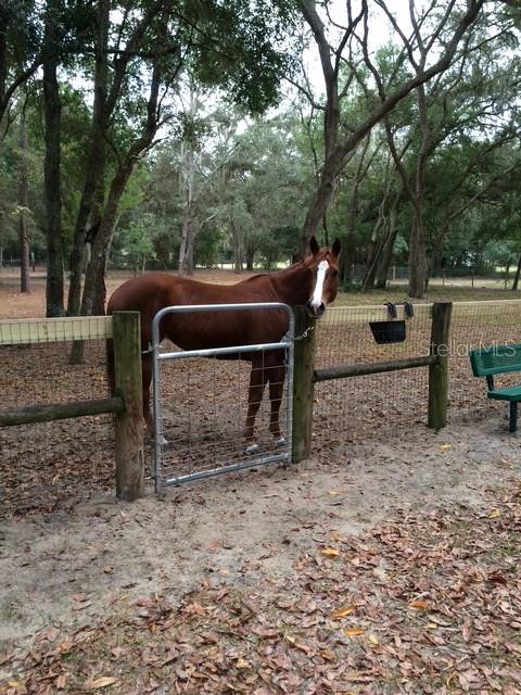 Image 52 of 52 For 23404 Hobdy Road