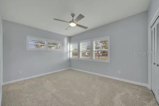 Image 22 of 38 For 225 Halsey Street