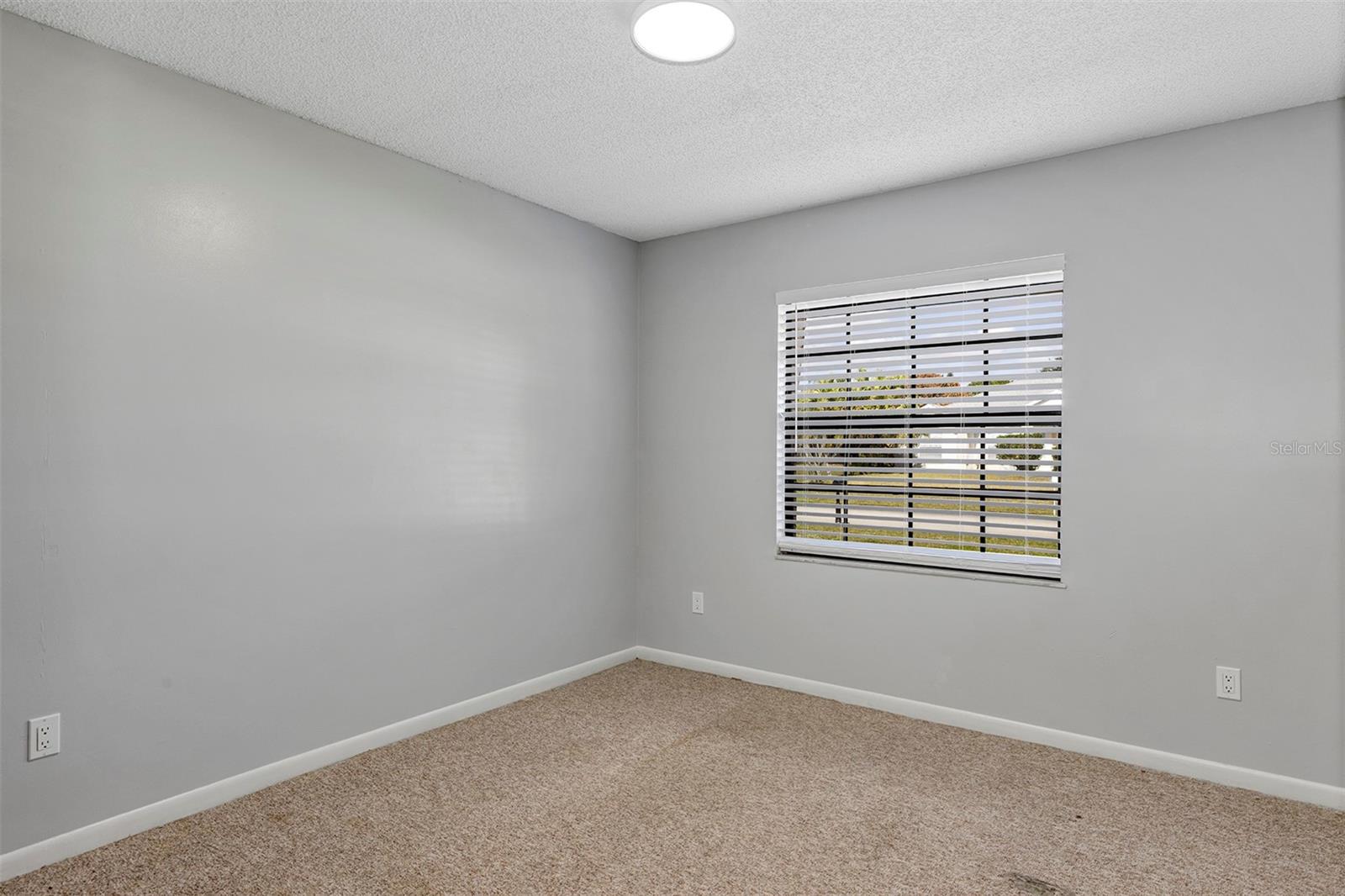 Image 23 of 55 For 202 Holden Terrace