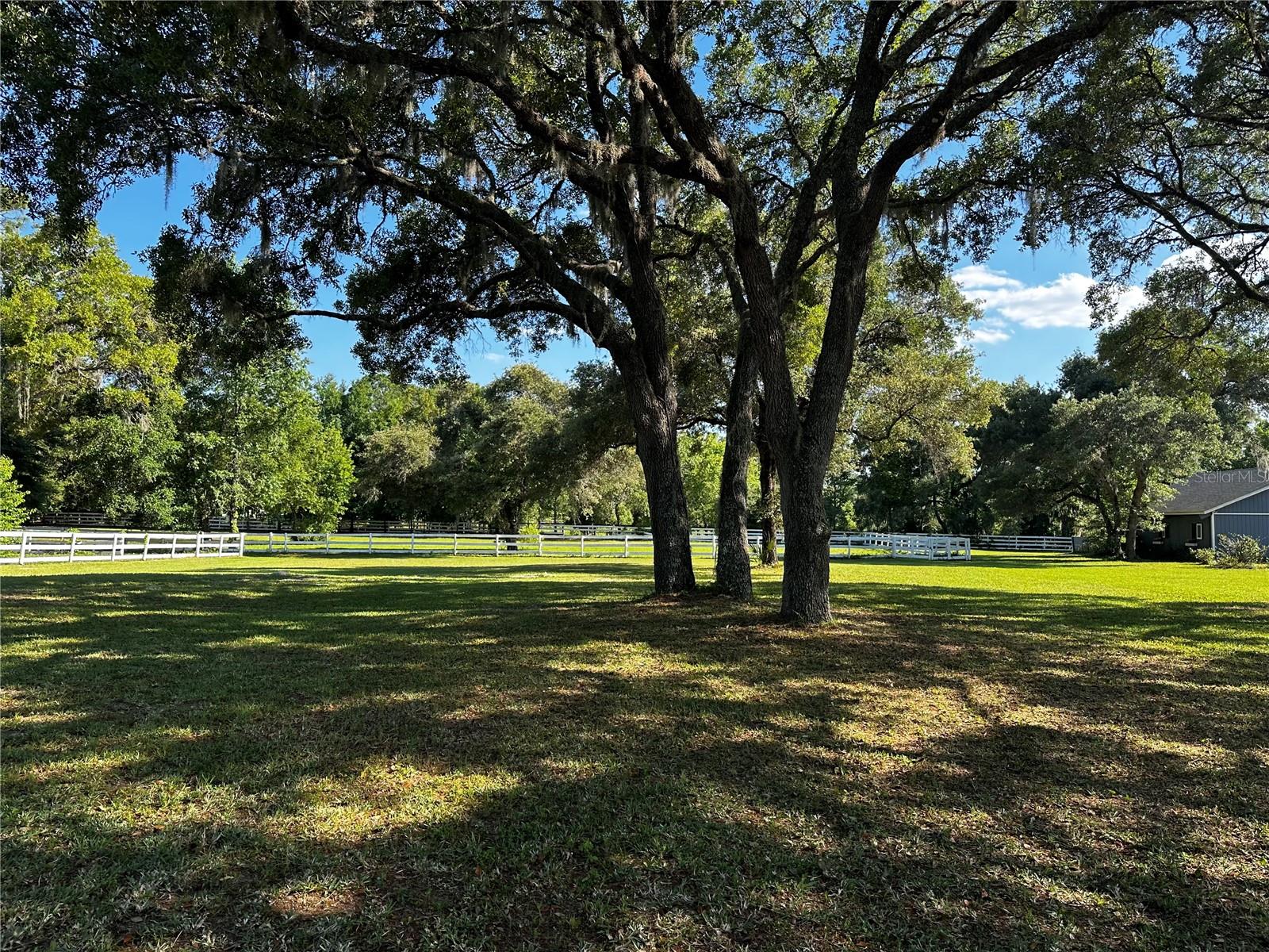 Image 21 of 79 For 33015 Sahara Court