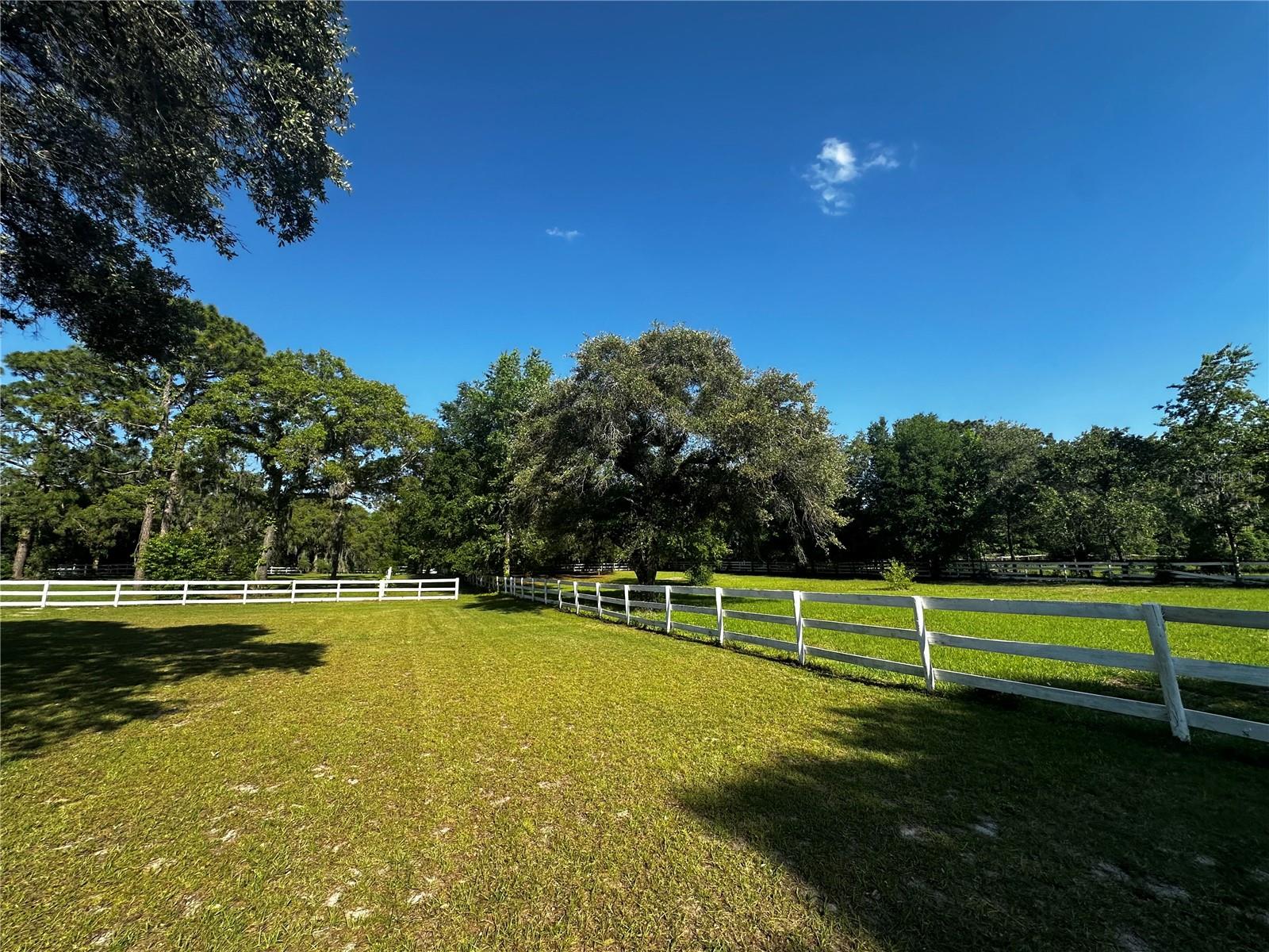 Image 22 of 79 For 33015 Sahara Court