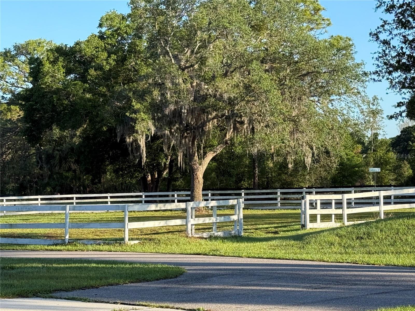 Image 44 of 79 For 33015 Sahara Court