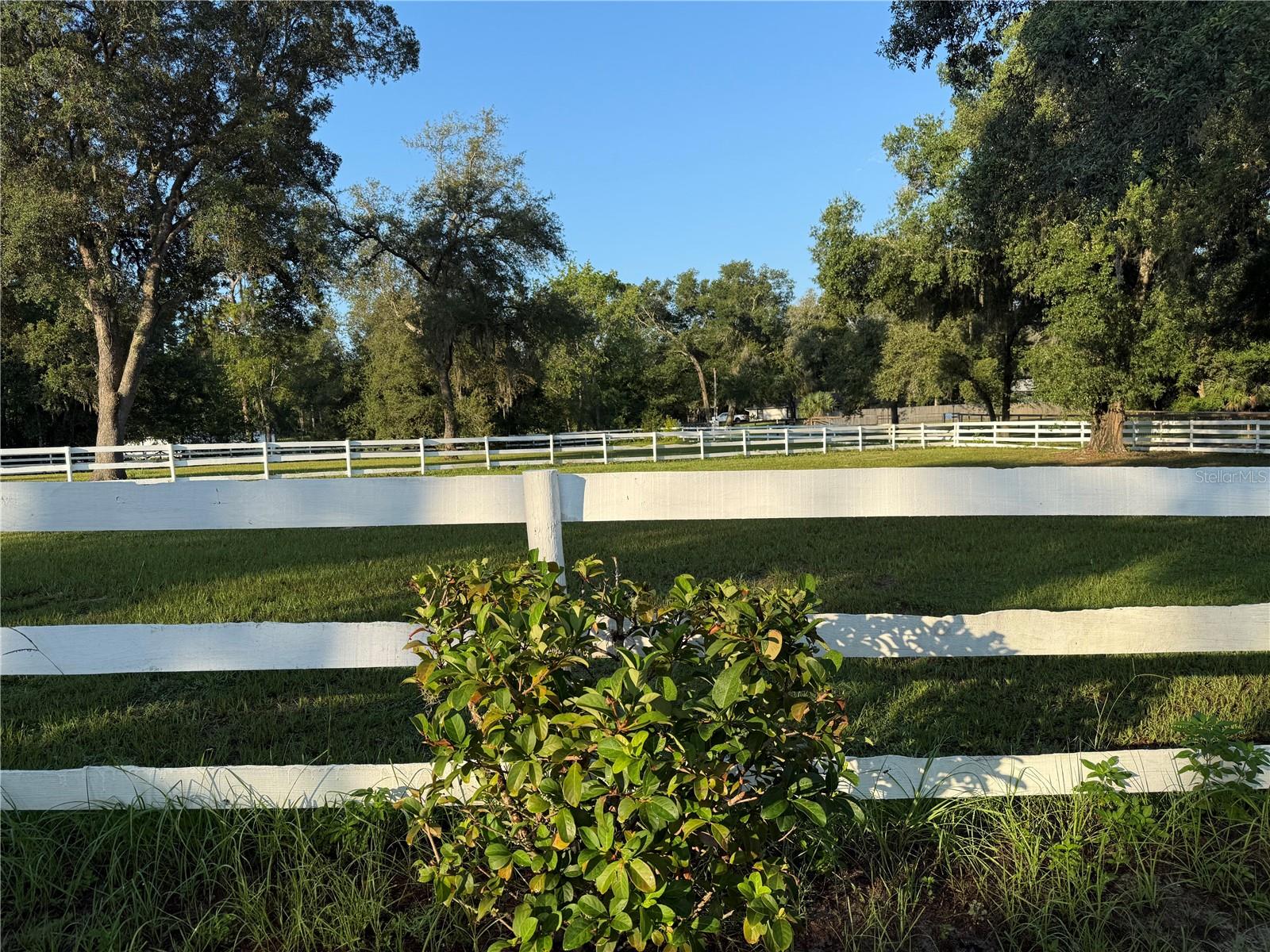 Image 51 of 79 For 33015 Sahara Court