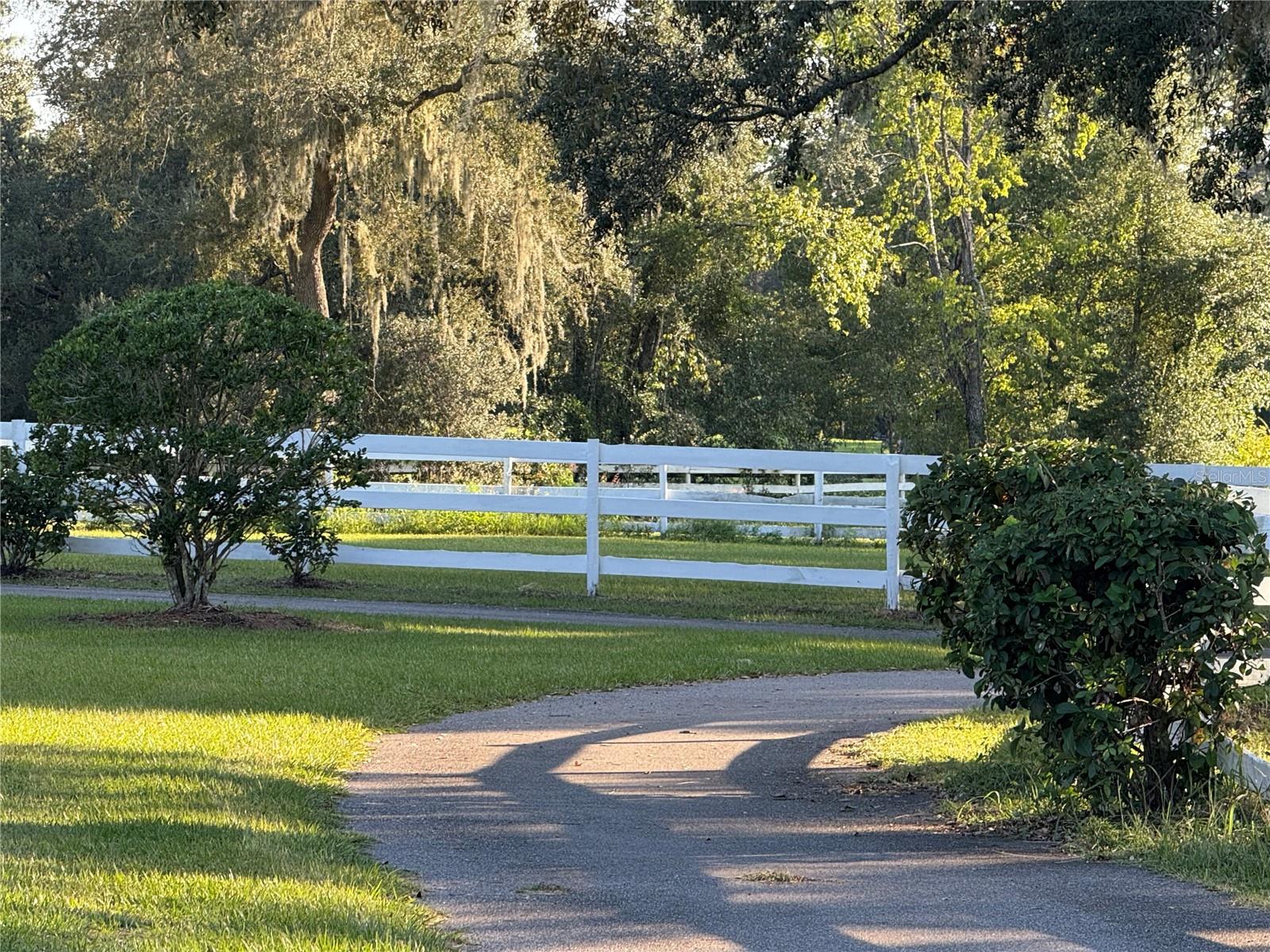 Image 58 of 79 For 33015 Sahara Court