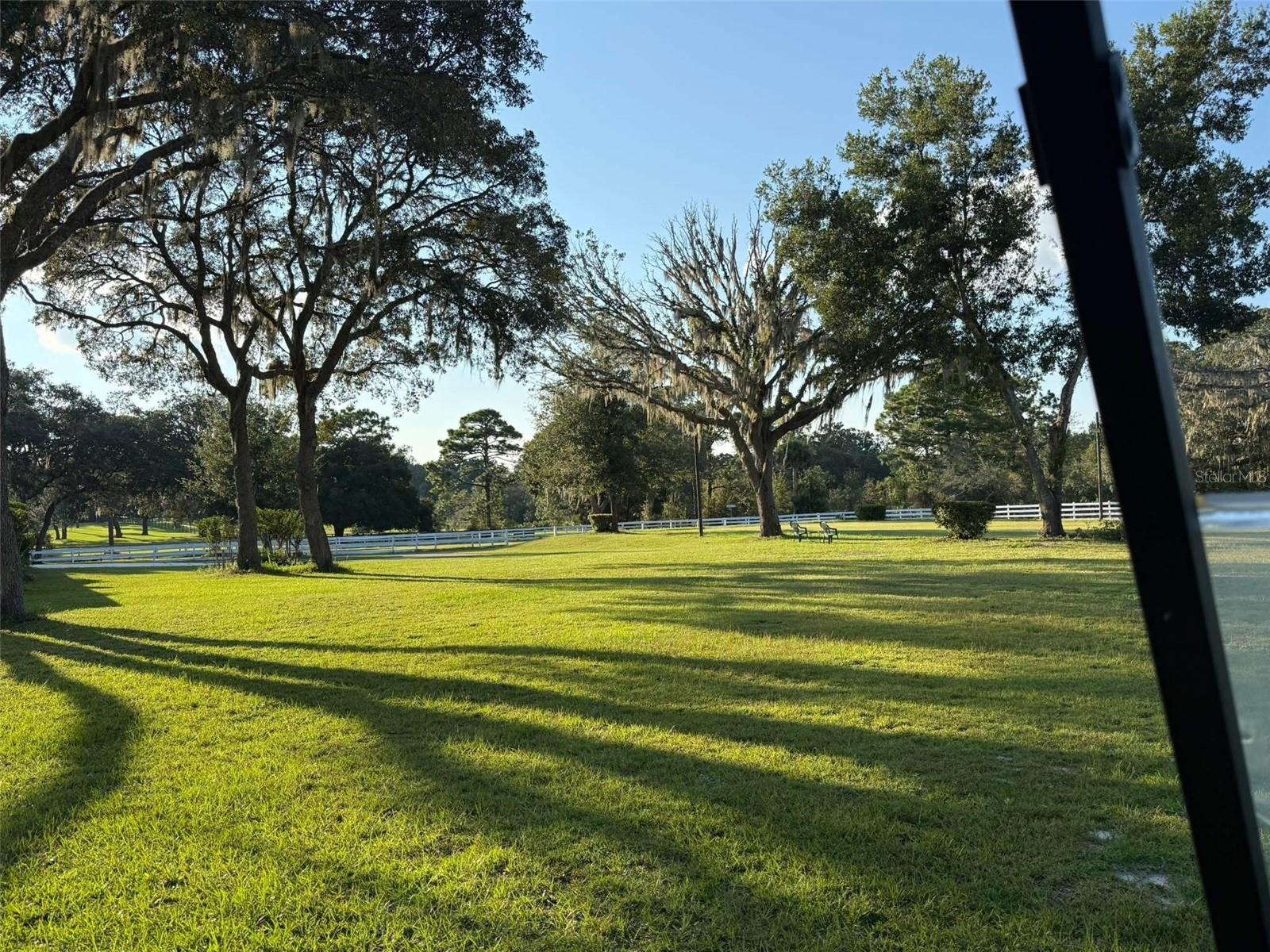 Image 78 of 79 For 33015 Sahara Court