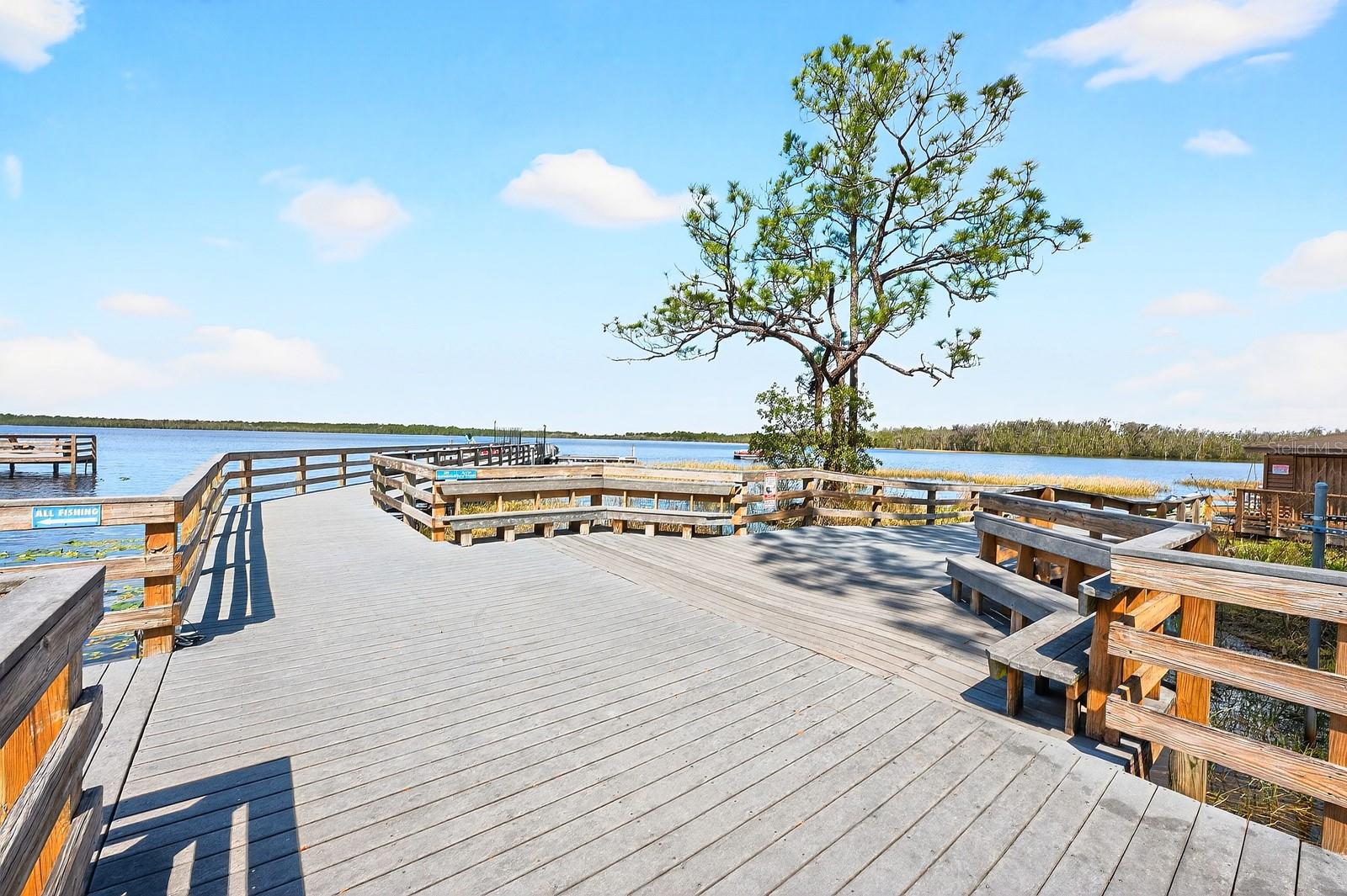 Image 39 of 49 For 7651 Five Oaks Drive